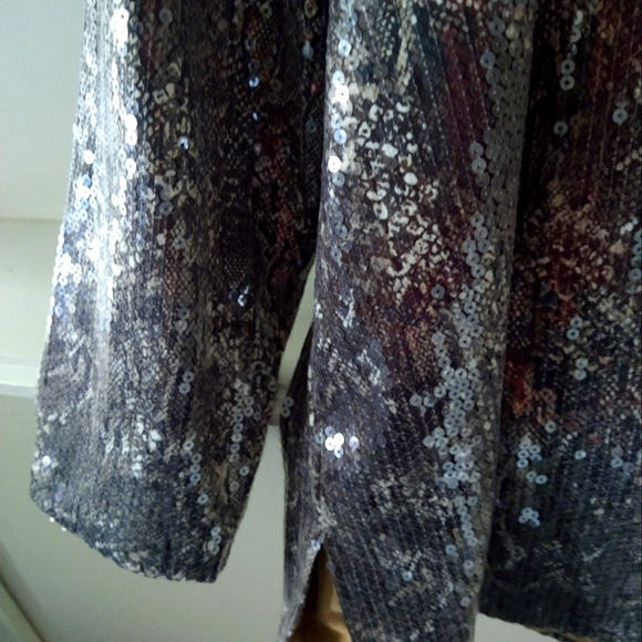NWT Chico Women's Tunic Sz 4 Python Sequins Top Boat Neck Lined Holiday Evening - Picture 3 of 8
